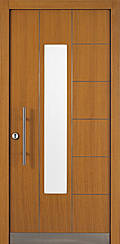 Tür Farbton Pinie mit Edelstahleinlagen